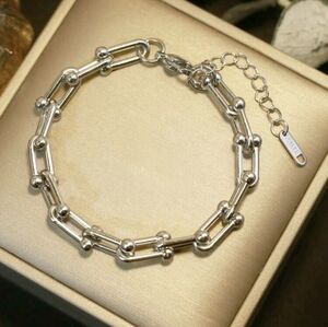 Silver Stainless Steel U Link Horseshoe Bracelet